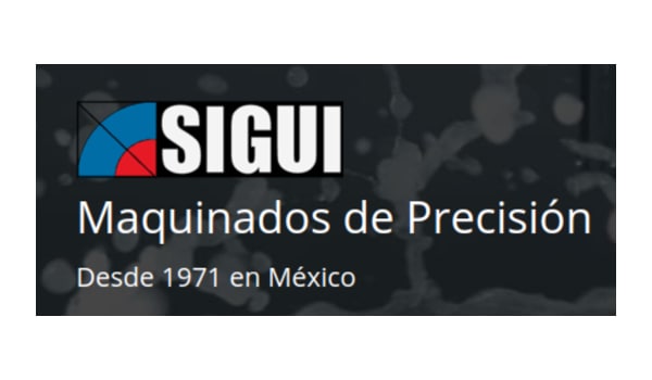 SEO für sigui.mx